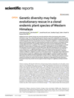 Genetic diversity may help evolutionary rescue in a clonal endemic plant species of Western Himalaya