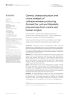 Genetic characterization and clonal analysis of carbapenemase-producing Escherichia coli and Klebsiella pneumoniae from canine and human origins