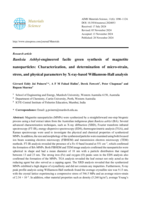 Banksia Ashbyi-engineered facile green synthesis of magnetite nanoparticles: Characterization, and determination of micro-strain, stress, and physical parameters by X-ray-based Williamson-Hall analysis