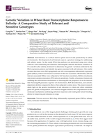 Genetic Variation in Wheat Root Transcriptome Responses to Salinity: A Comparative Study of Tolerant and Sensitive Genotypes