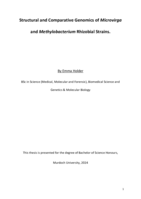 Structural and Comparative Genomics of Microvirga and Methylobacterium Rhizobial Strains