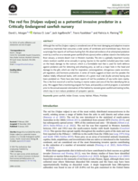 The red fox (Vulpes vulpes) as a potential invasive predator in a Critically Endangered sawfish nursery