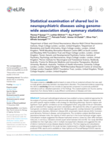 Statistical examination of shared loci in neuropsychiatric diseases using genome-wide association study summary statistics