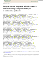 Large‐scale and long‐term wildlife research and monitoring using camera traps: a continental synthesis
