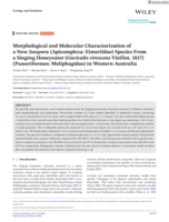 Morphological and Molecular Characterization of a New Isospora (Apicomplexa: Eimeriidae) Species From a Singing Honeyeater (Gavicalis virescens Vieillot, 1817) (Passeriformes: Meliphagidae) in Western Australia