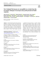New Zealand Myrtaceae are susceptible to a strain from the Eucalyptus biotype of Austropuccinia psidii present in South America