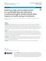 Exploring single cell microbial protein as a sustainable fishmeal alternative in yellowtail kingfish (Seriola lalandi) diets: impacts on health and gut microbiome