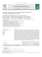 Polyamines and flg22 reshape the ribosomal protein composition of actively translating ribosomes in plants