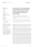 Assessing the role of genotype by environment interaction of winter wheat cultivars using envirotyping techniques in North China