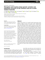 Disruption and irruption shape genetic variation and population structure of the common rock‐rat in north‐western Australia