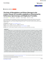 The Role of Phytophthora and Water Shortage in the Canker Disease of Corymbia calophylla as Determined by Reflectance Spectroscopy and Biophysical Variables