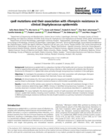 rpoB mutations and their association with rifampicin resistance in clinical Staphylococcus epidermidis