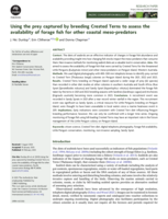 Using the prey captured by breeding Crested Terns to assess the availability of forage fish for other coastal meso-predators