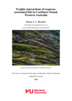 Trophic interactions of seagrass-associated fish in Cockburn Sound, Western Australia