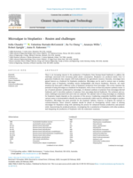 Microalgae to bioplastics – Routes and challenges