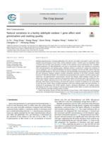 Natural variations in a barley aldehyde oxidase 1 gene affect seed germination and malting quality
