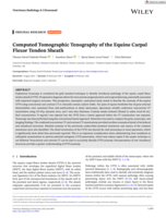 Computed Tomographic Tenography of the Equine Carpal Flexor Tendon Sheath