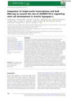 Integration of single-nuclei transcriptome and bulk RNA-seq to unravel the role of AhWRKY70 in regulating stem cell development in Arachis hypogaea L