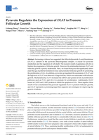 Pyruvate Regulates the Expression of DLAT to Promote Follicular Growth