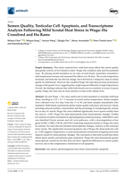 Semen Quality, Testicular Cell Apoptosis, and Transcriptome Analysis Following Mild Scrotal Heat Stress in Wugu-Hu Crossbred and Hu Rams