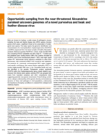 Opportunistic sampling from the near-threatened Alexandrine parakeet uncovers genomes of a novel parvovirus and beak and feather disease virus