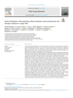 Foliar fertilization with potassium silicate enhances water productivity and drought resilience in sugar beet
