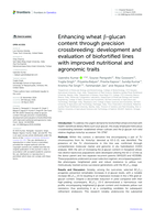 Enhancing wheat β-glucan content through precision crossbreeding: development and evaluation of biofortified lines with improved nutritional and agronomic traits