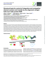 Structural basis for control of integrative and conjugative element excision and transfer by the oligomeric winged helix–turn–helix protein RdfS