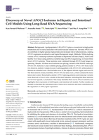 Discovery of Novel APOC3 Isoforms in Hepatic and Intestinal Cell Models Using Long-Read RNA Sequencing