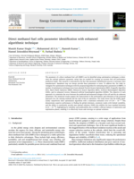Direct methanol fuel cells parameter identification with enhanced algorithmic technique