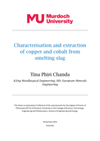 Characterisation and extraction of copper and cobalt from smelting slag