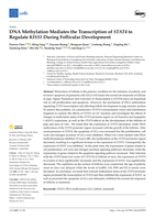 DNA Methylation Mediates the Transcription of STAT4 to Regulate KISS1 During Follicular Development
