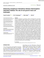 Enhancing Lasioglossum (Homalictus) dotatum (Hymenoptera: Halictidae) habitats: The role of rock gravel in bare soil landscapes