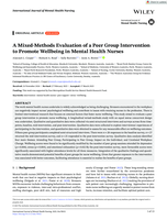 A Mixed‐Methods Evaluation of a Peer Group Intervention to Promote Wellbeing in Mental Health Nurses