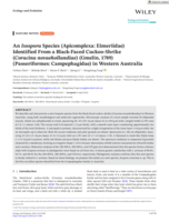 An Isospora Species (Apicomplexa: Eimeriidae) Identified From a Black‐Faced Cuckoo‐Shrike (Coracina novaehollandiae) (Gmelin, 1789) (Passeriformes: Campephagidae) in Western Australia
