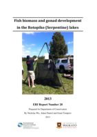 Fish biomass and gonad development in the Rotopiko (Serpentine) lakes