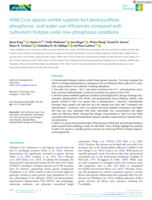 Wild Cicer species exhibit superior leaf photosynthetic phosphorus- and water-use efficiencies compared with cultivated chickpea under low-phosphorus conditions