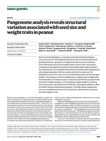 Pangenome analysis reveals structural variation associated with seed size and weight traits in peanut