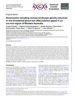 Non-invasive sampling reveals landscape genetic structure in the threatened ghost bat (Macroderma gigas) in an ore-rich region of Western Australia