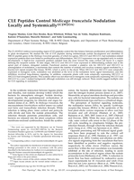 CLE Peptides Control Medicago truncatula Nodulation Locally and Systemically