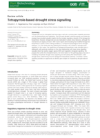 Tetrapyrrole-based drought stress signalling