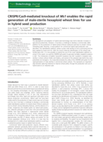 CRISPR/Cas9-mediated knockout of Ms1 enables the rapid generation of male-sterile hexaploid wheat lines for use in hybrid seed production