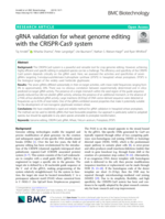 gRNA validation for wheat genome editing with the CRISPR-Cas9 system