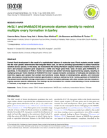 HvSL1 and HvMADS16 promote stamen identity to restrict multiple ovary formation in barley