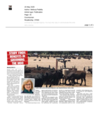 Study finds benefits in grooming the Moo