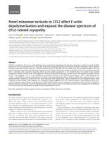 Novel missense variants in CFL2 affect F-actin depolymerisation and expand the disease spectrum of CFL2-related myopathy