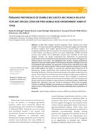 Foraging preferences of bumble bee castes are weakly related to plant species cover on two arable agri-environment habitat types