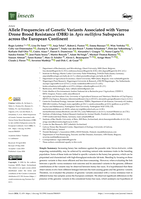 Allele frequencies of genetic variants associated with Varroa drone brood resistance (DBR) in Apis mellifera subspecies across the European continent