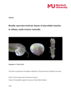 Benthic macroinvertebrate faunas of microtidal estuaries in Albany, south-western Australia
