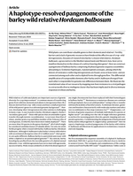 A haplotype-resolved pangenome of the barley wild relative Hordeum bulbosum